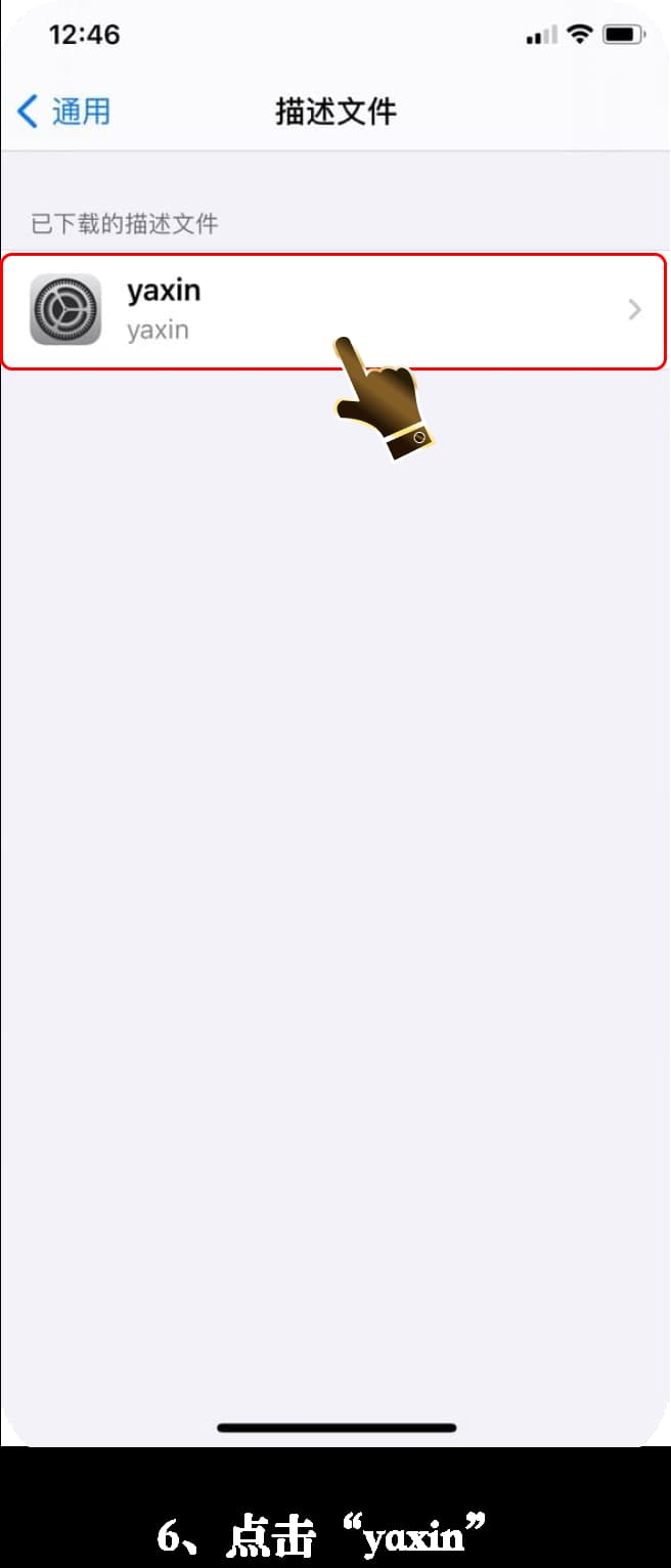 亚星ios版App安装流程示意图6