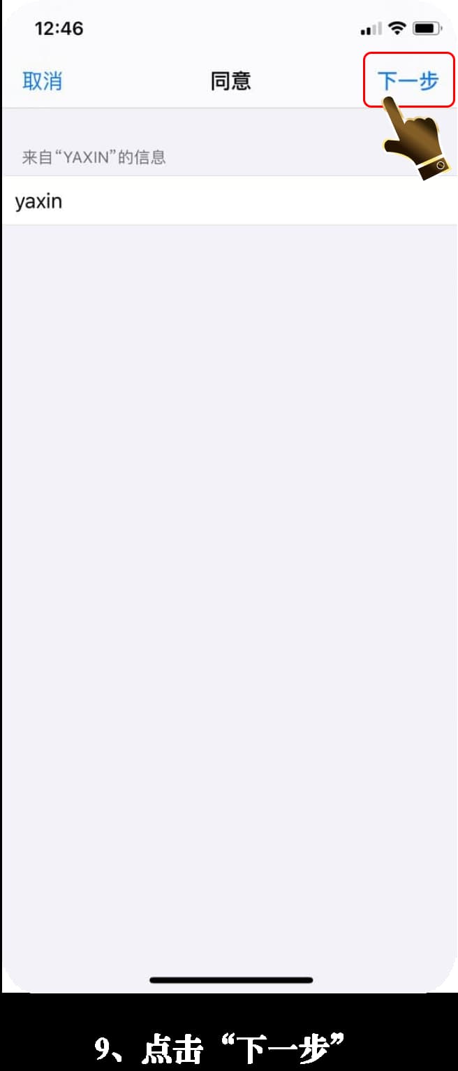 亚星ios版App安装流程示意图9